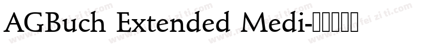 AGBuch Extended Medi字体转换